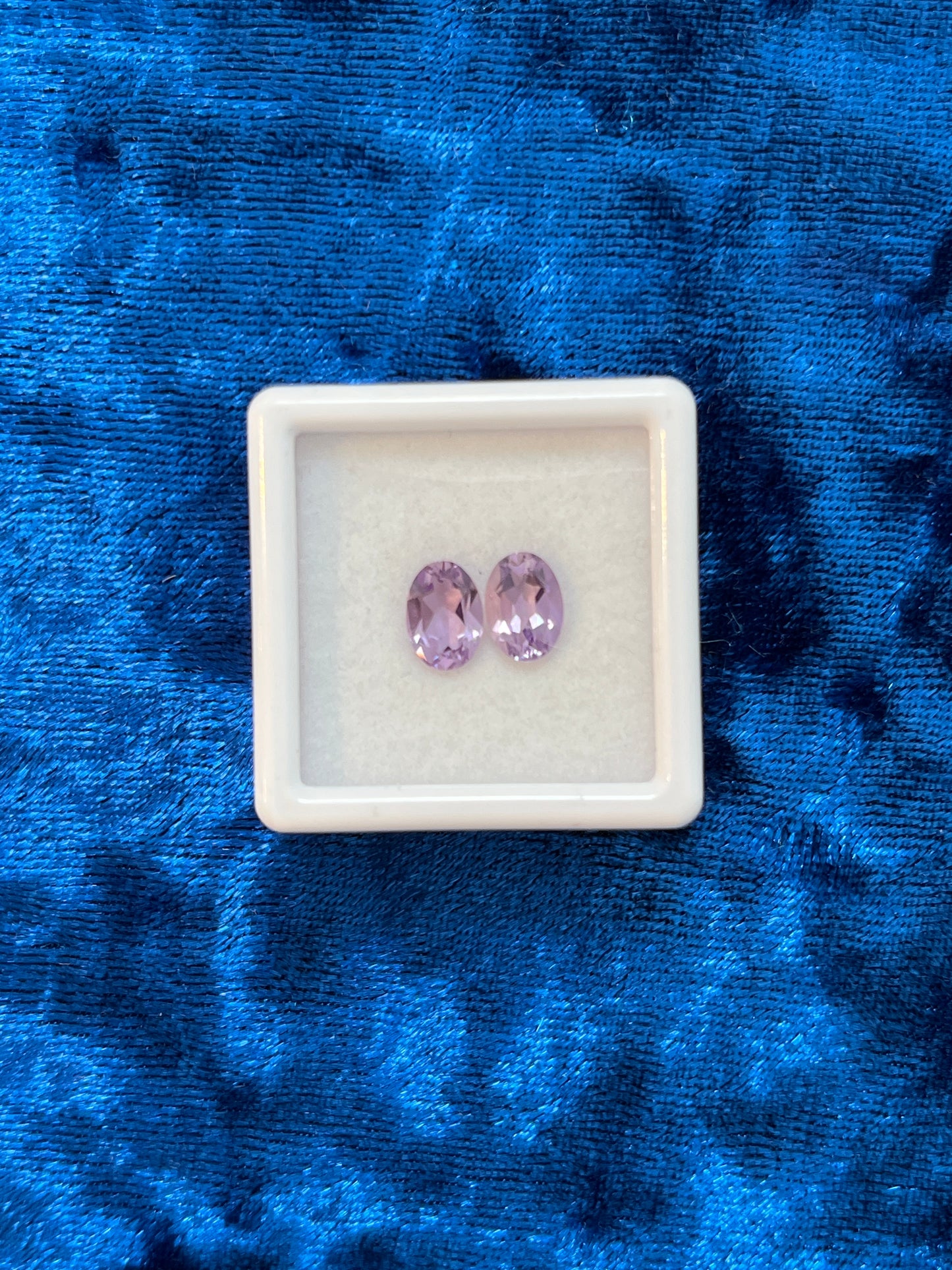 Pair of light purple earrings in a white box on a blue textured background
