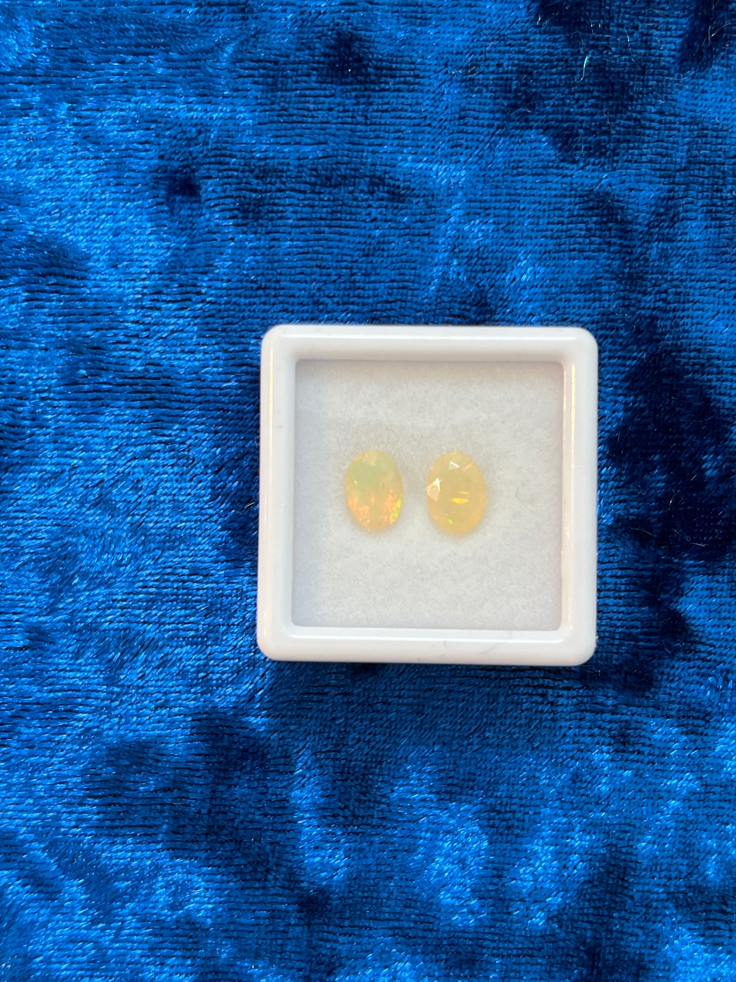 Two yellow opal gemstones in a white box on a blue textured background